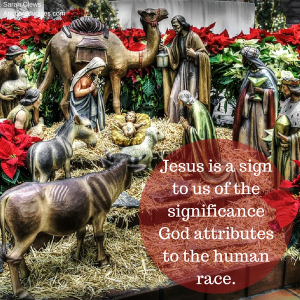 Christmas Sarah Clews