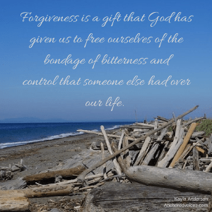 Bitterness Kayla Anderson