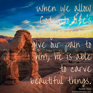 Bitterness Rachel Olson (1)