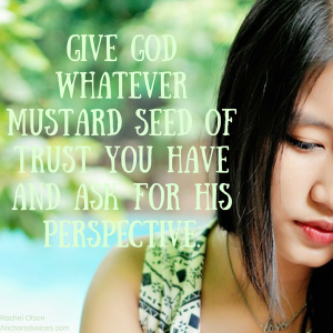 Rachel Olson Bitterness