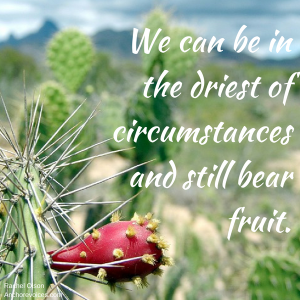 Rachel Olson Identity