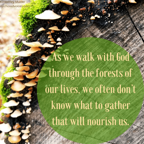 Kimberley Mulder Gather.png